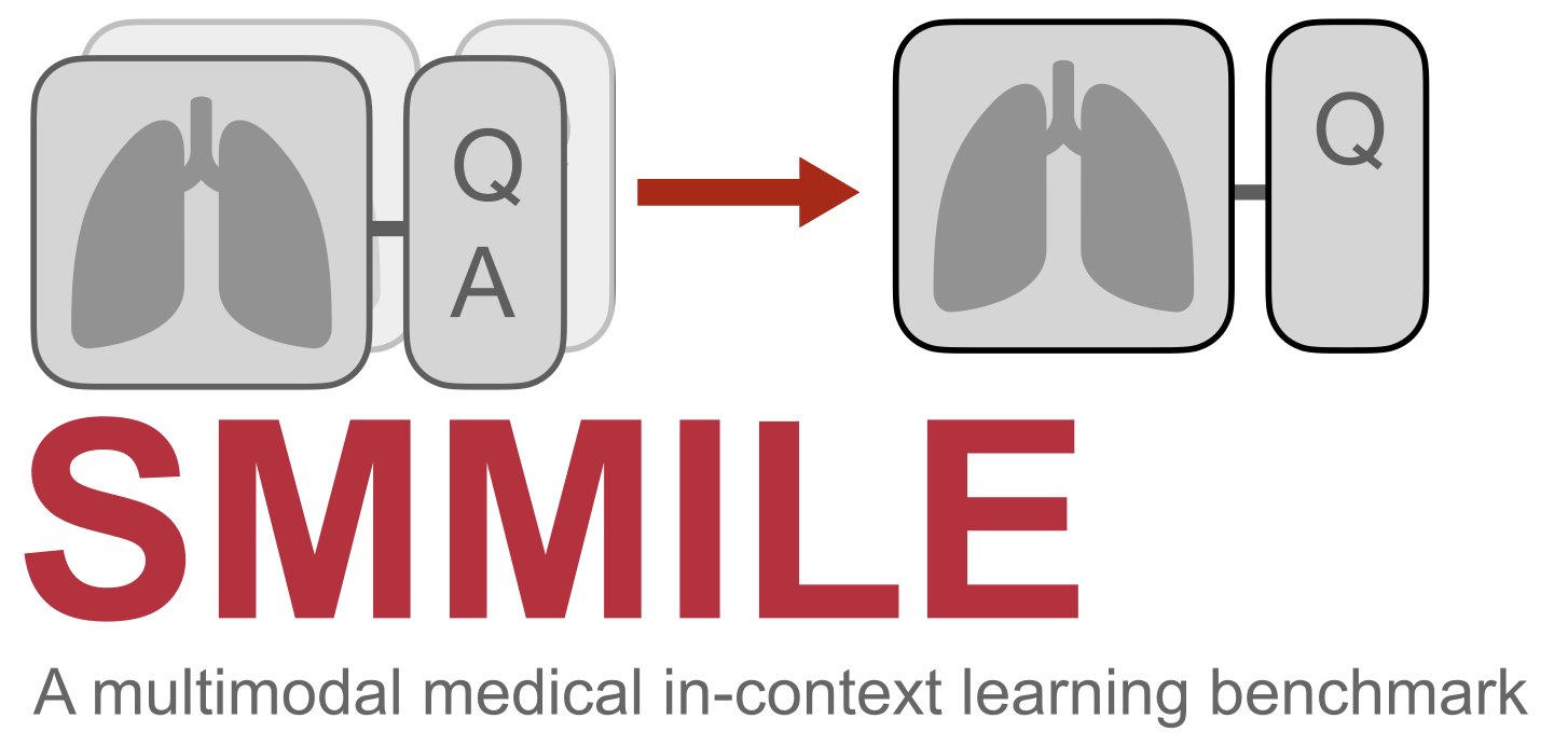 SMMILE Logo