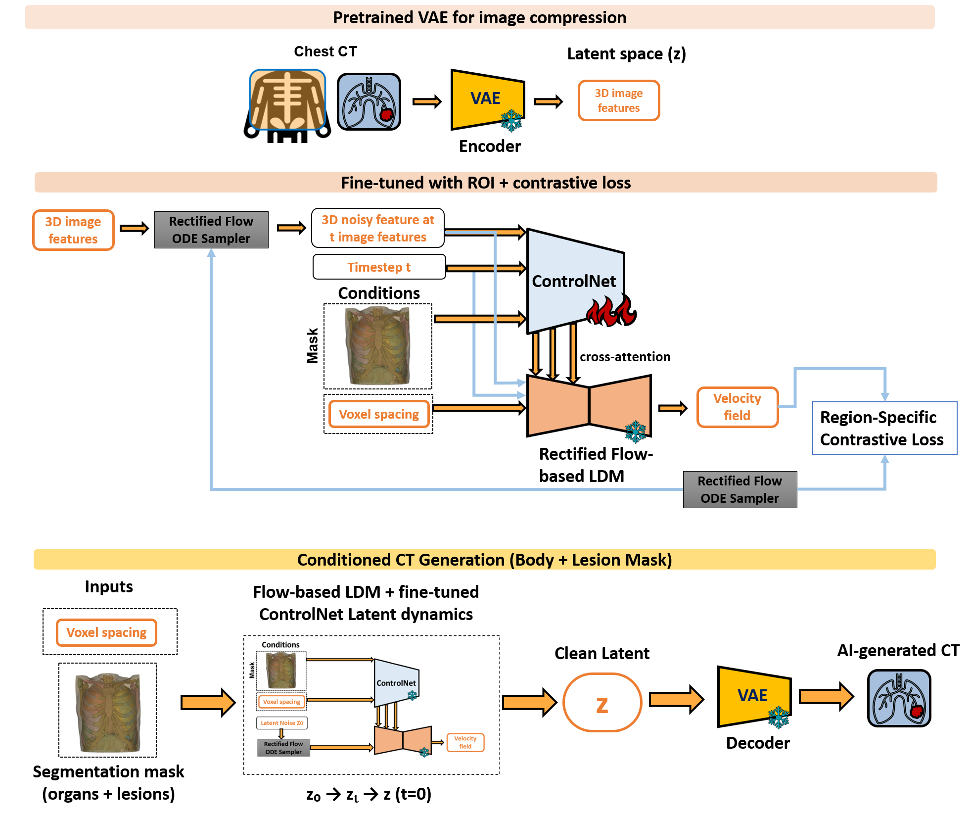NoMAISI_train_and_infer