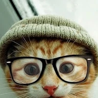 Kebei Jiang's picture