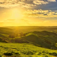 Rodrigo David Zurbano Gomez's profile picture