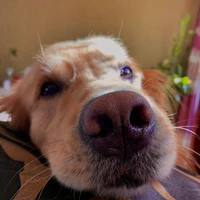 KeriY's profile picture