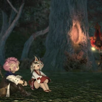 Ruoyu Gao's profile picture