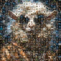 ISEKAI's profile picture