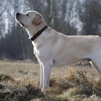 Jack's profile picture