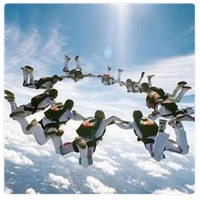 wangyubo's profile picture