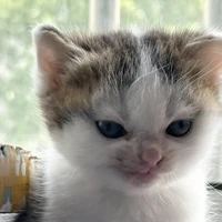 jiaming wang's profile picture