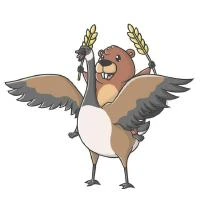 Castorini's profile picture