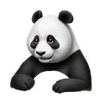 Jiwei Ding's profile picture