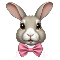 MiMo-Admin's profile picture