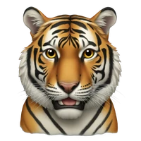 Kibum Kim's profile picture