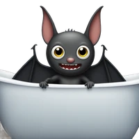 Christian Schäfer's profile picture