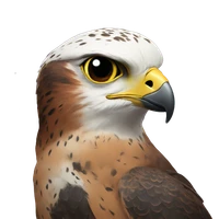 Colin Lacey's profile picture