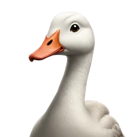 Jose Ros's profile picture