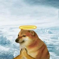 Abhinav Jangra's profile picture