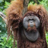 Frederick Pu's profile picture