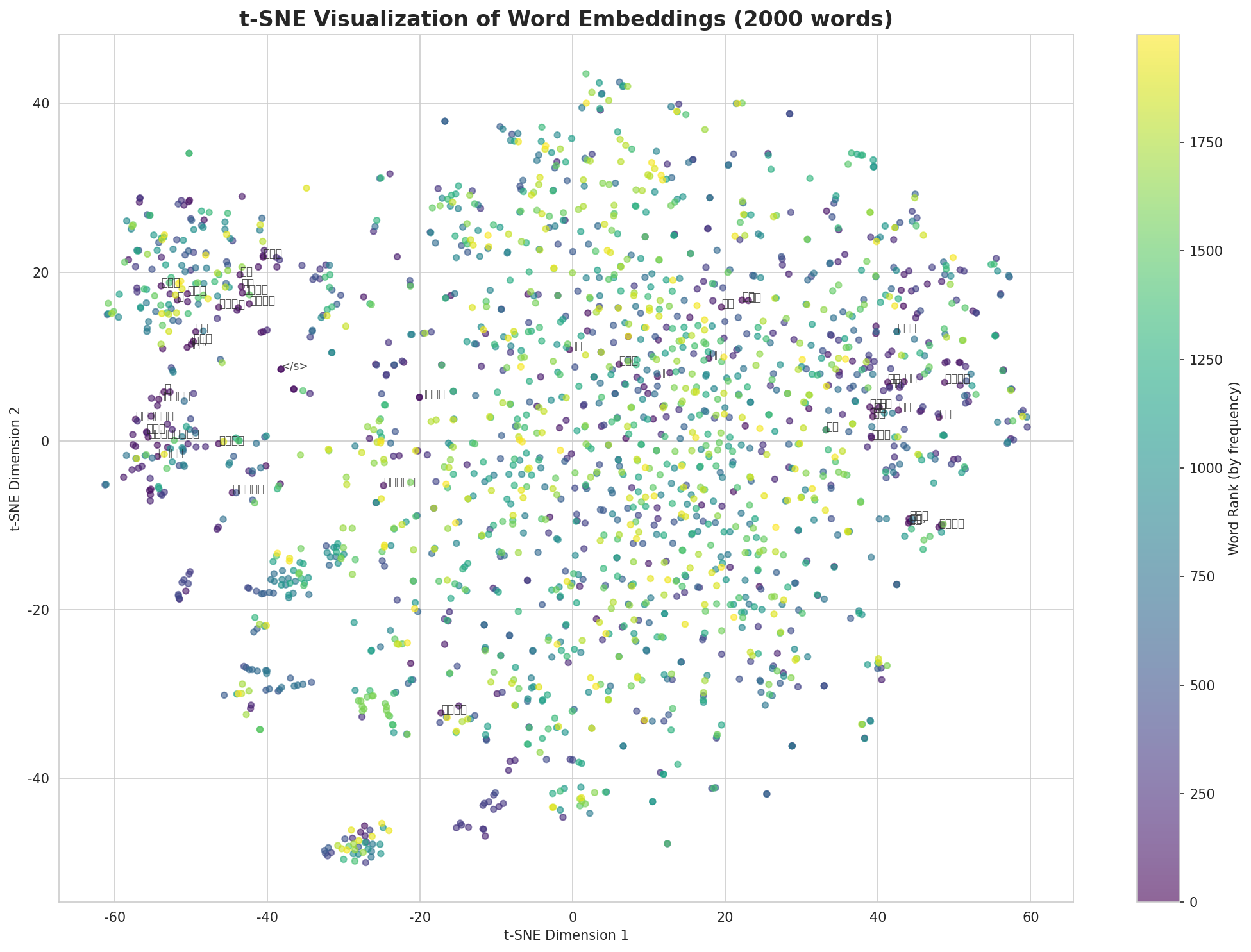 t-SNE Words